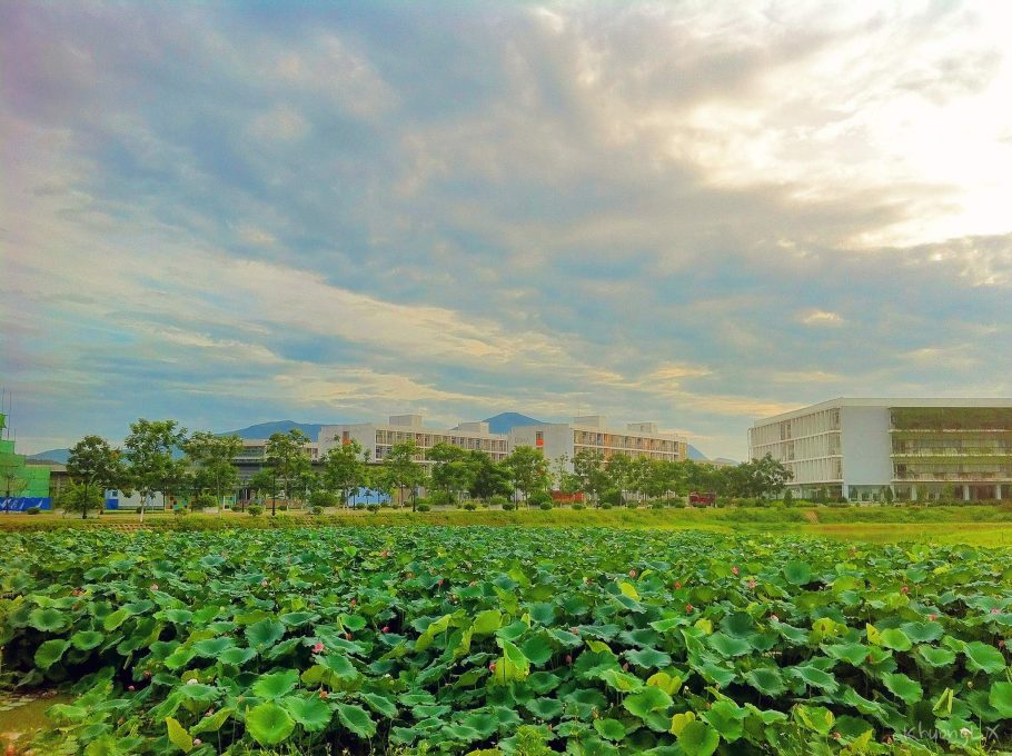 TOP 5 điều thú vị khiến sinh viên “mê mẩn” Đại học FPT