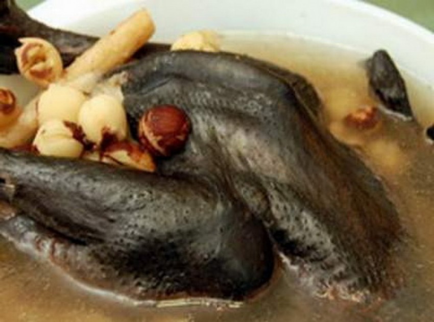 Gà đen hầm hạt dẻ tốt cho người di tinh.