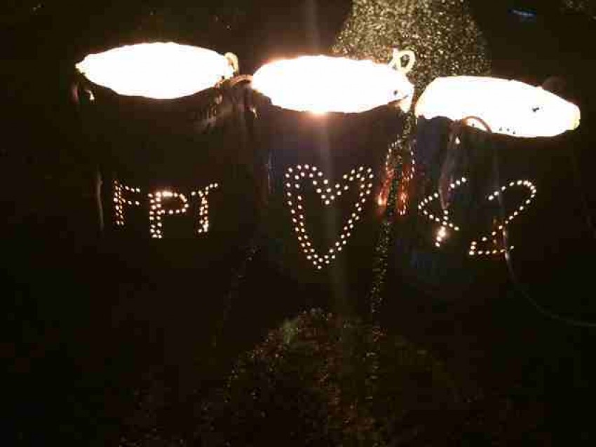 Thuốc từ cây thiên môn 