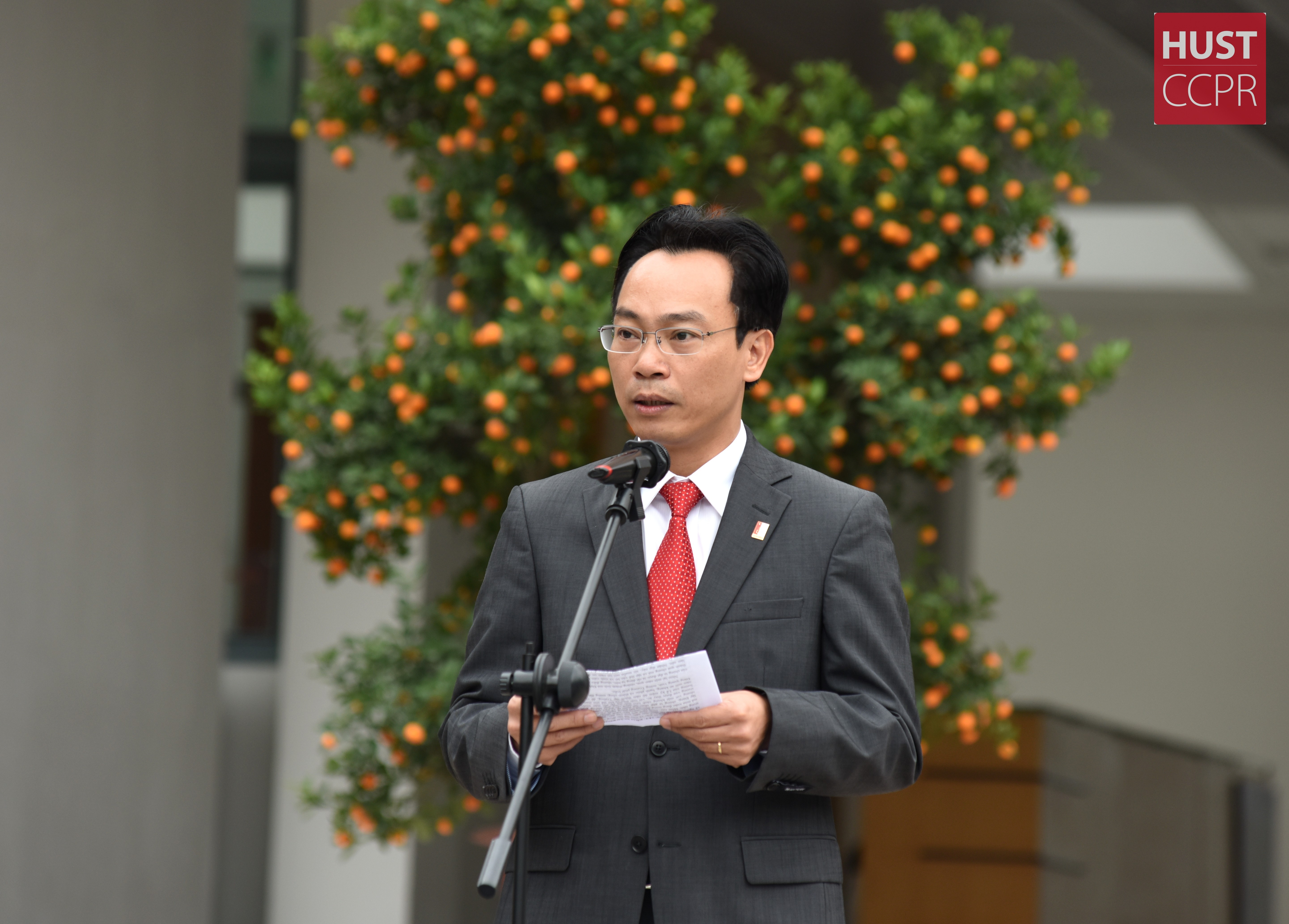 Thư chúc mừng năm mới Xuân Đinh Dậu 2017