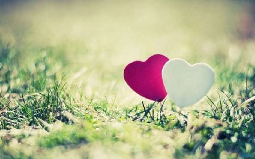 động phòng mùa xuân