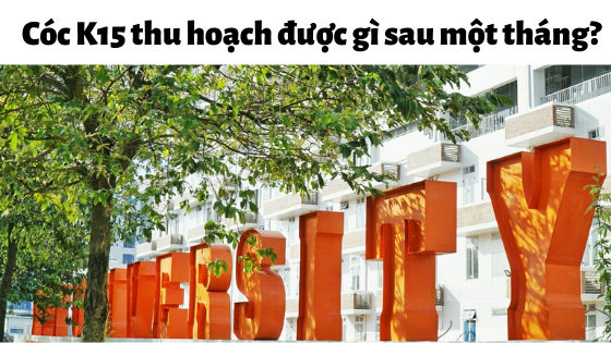 Hành trang của cóc K15 có những gì sau hơn một tháng làm sinh viên trường F?