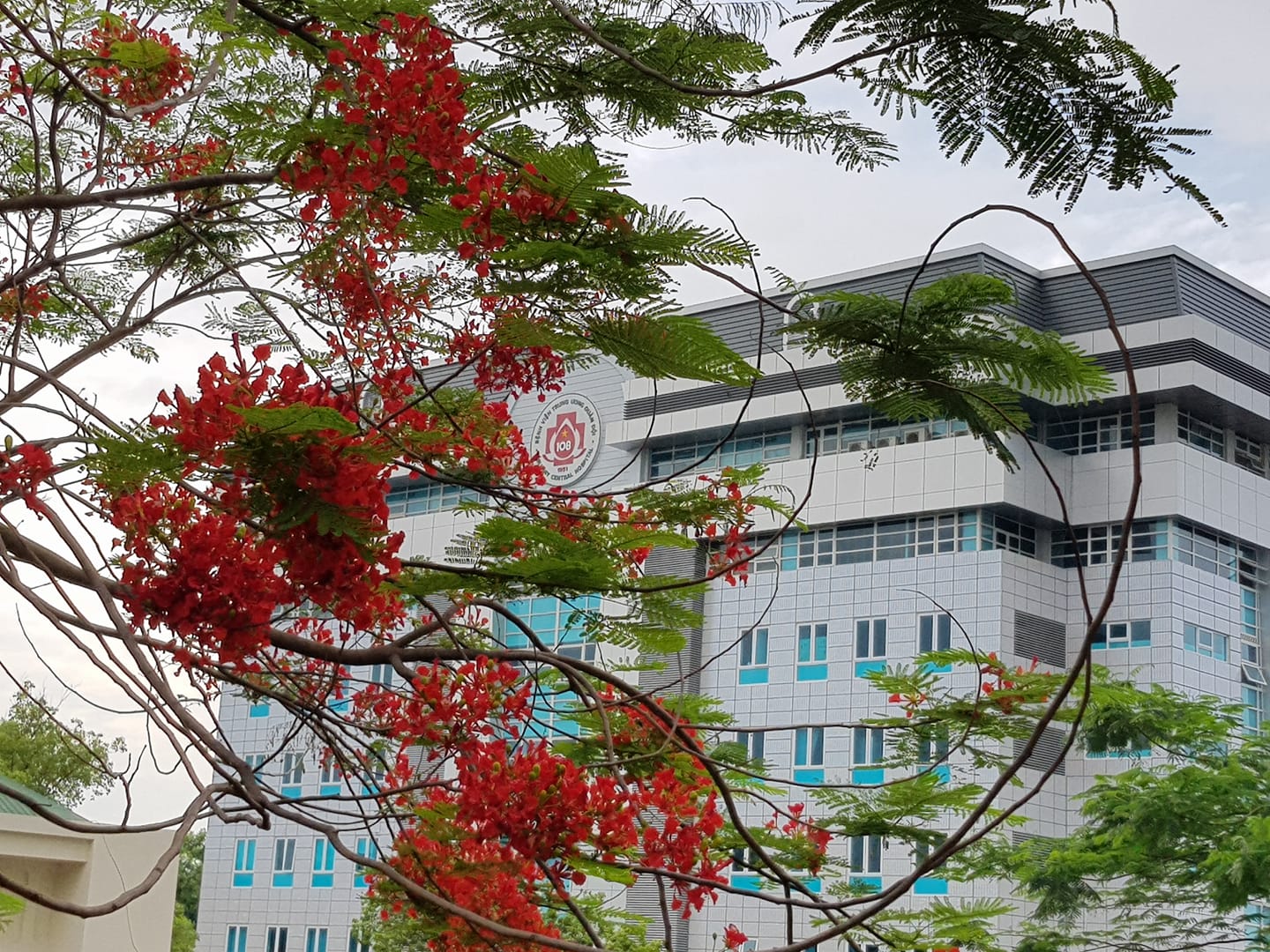 Nơi có những mốc son chói lọi
