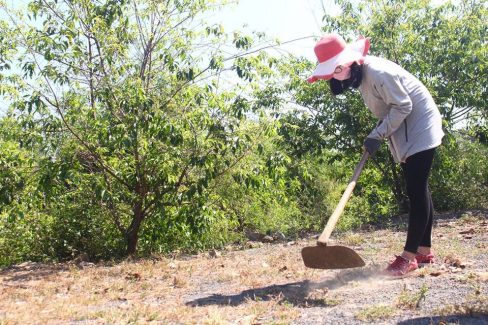 7 ngày làm Nông dân của sinh viên Đại học FPT