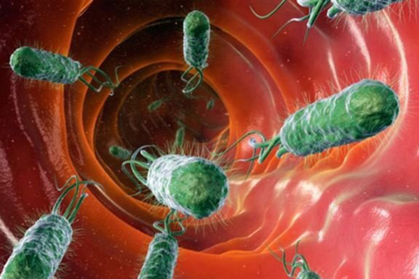 Phòng ngừa các rối loạn tiêu hóa hay gặp trong mùa hè