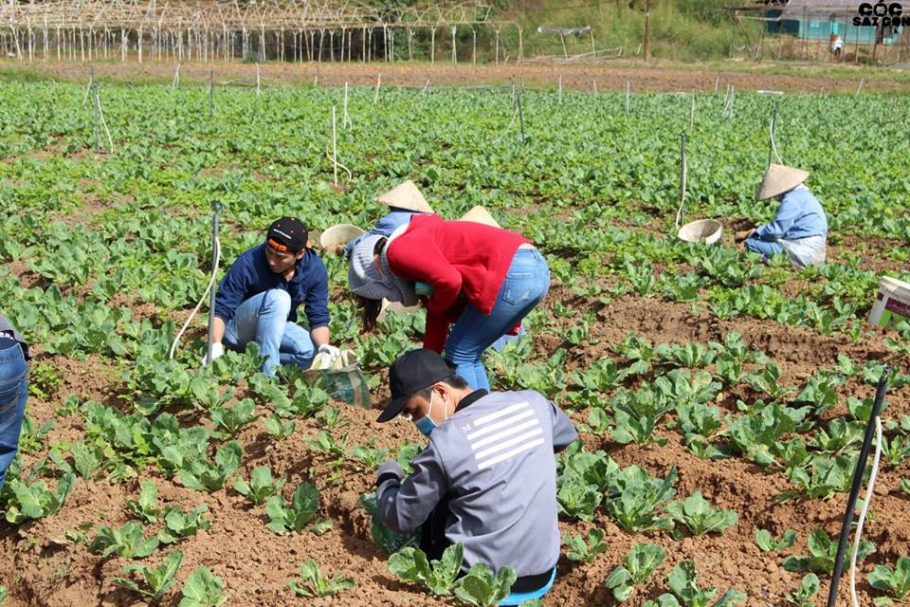 Hành trình 7 ngày trải nghiệm cuộc sống tại Đà Lạt