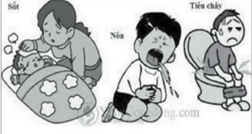 Biểu hiện tiêu chảy cấp do nhiễm khuẩn ở trẻ.