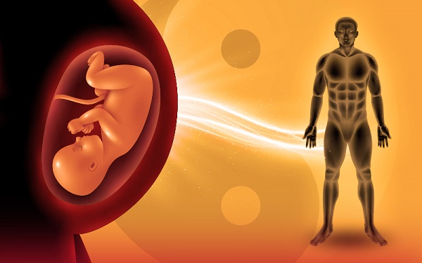 Nguyên khí hao tổn – Gốc của mọi bệnh