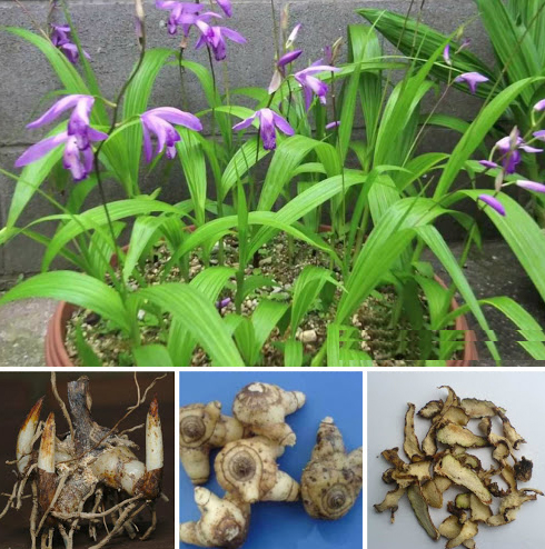 Làm đẹp da bằng phương thuốc cổ truyền