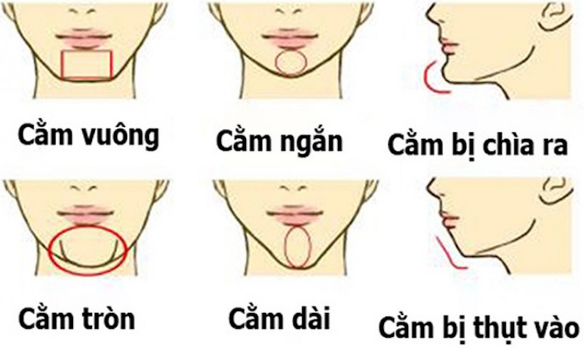 cằm vuông là gì