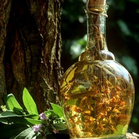 Bẩy loại dược tửu giúp quý ông thăng hoa