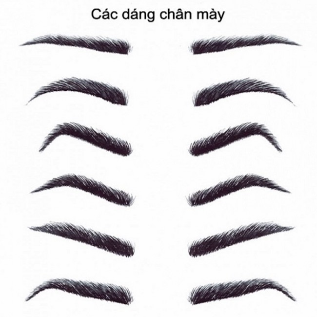 dáng chân mày