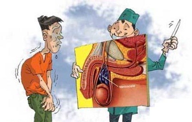 Những bệnh lý nguy hiểm ở tinh hoàn