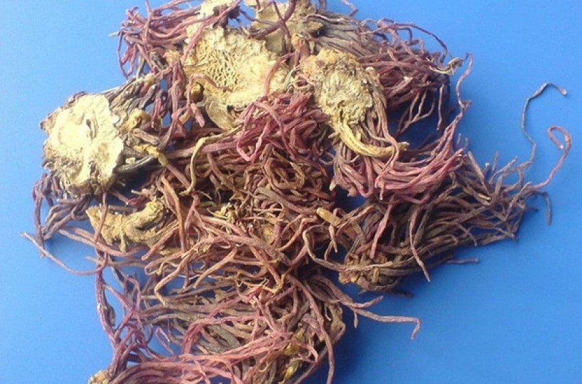 Giải trừ cơn ho