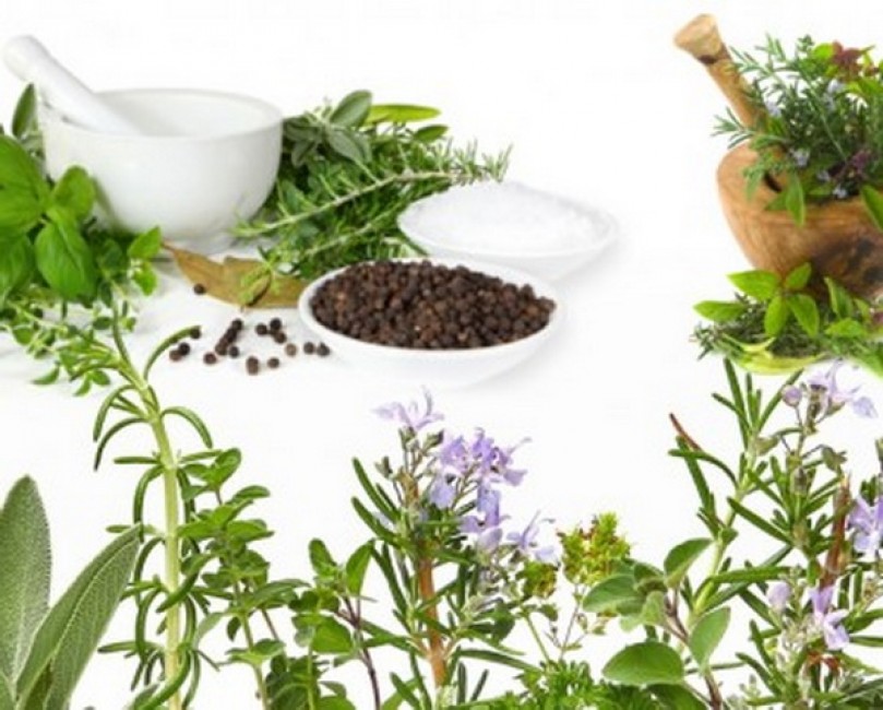 Hải kim sa (bào tử khô của dây bòng bong) là vị thuốc trị tiểu rắt buốt, tiểu đỏ do sỏi niệu quản.