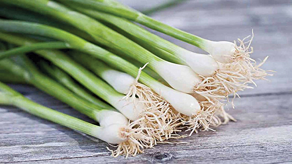Hành- gia vị có nhiều công dụng trị bệnh