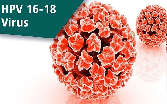HPV cũng gây ung thư ở nam giới