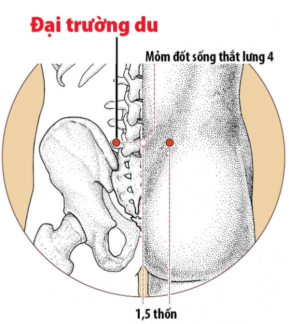 Vị trí huyệt đại trường du.