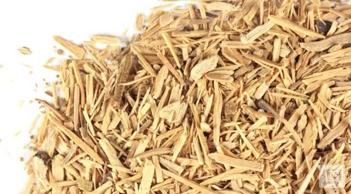 Muira Puama - “Viagra tự nhiên” của các quý ông đa tình vùng rừng Amazon