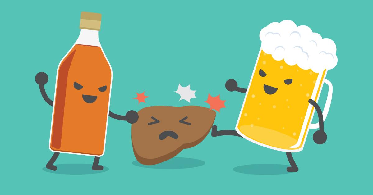 Giải pháp hỗ trợ phục hồi gan nhiễm mỡ, viêm gan bị tổn thương do bia rượu