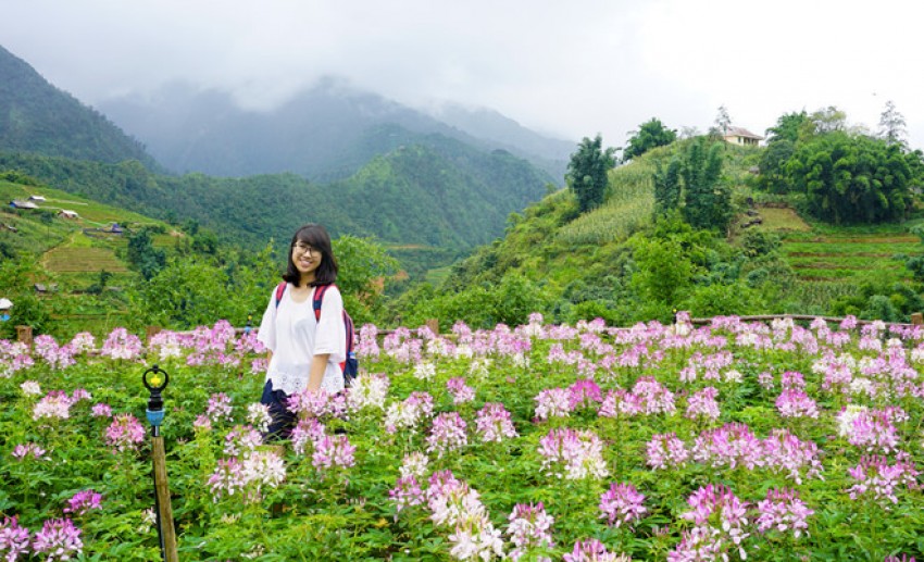 Bí quyết vàng cho người bệnh trĩ