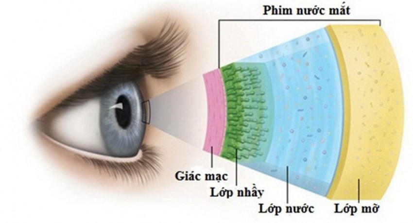 Khô mắt là 1 nguyên nhân gây ngứa mắt.