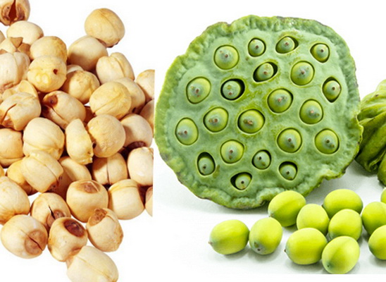 Bài thuốc trị hồi hộp mất ngủ do tâm can huyết hư