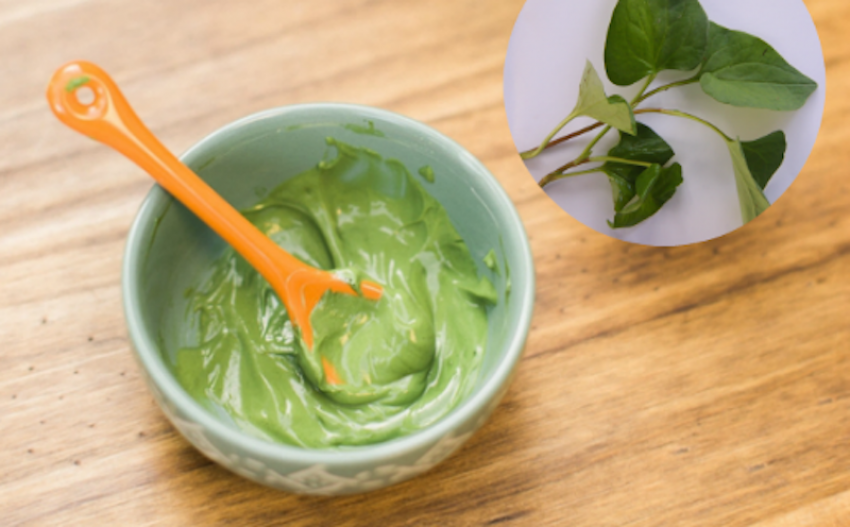 trị mụn bằng diếp cá