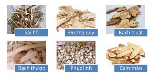 Chứng can khí uất và bài thuốc trị