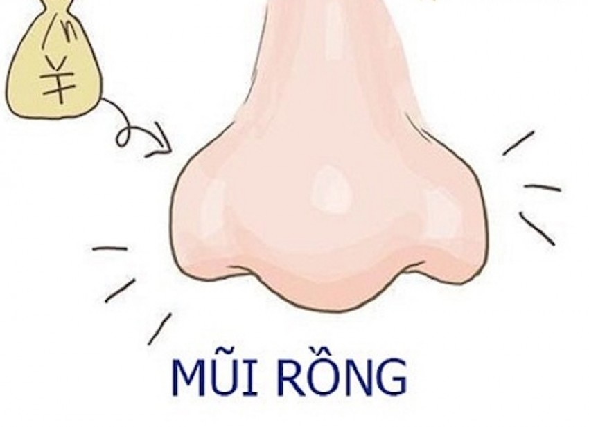 mũi rồng là mũi gì