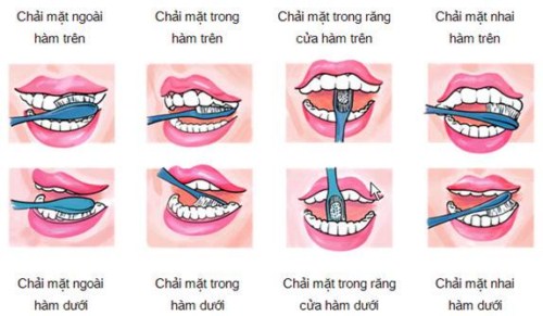 Phòng viêm nhiễm hàm mặt