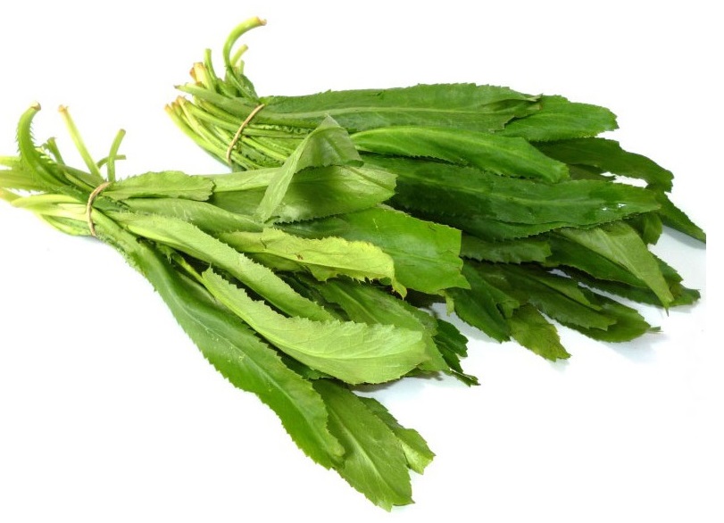 Chữa cảm cúm với mùi tàu