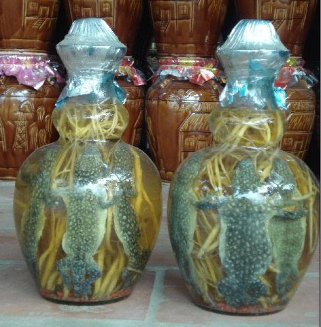 Rượu thuốc cho quý ông lười yêu