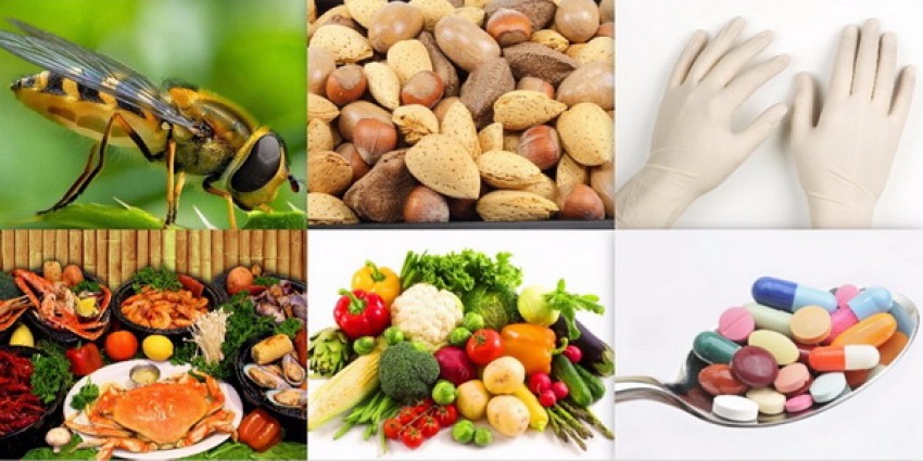 Các nguyên nhân thường gặp gây sốc phản vệ.