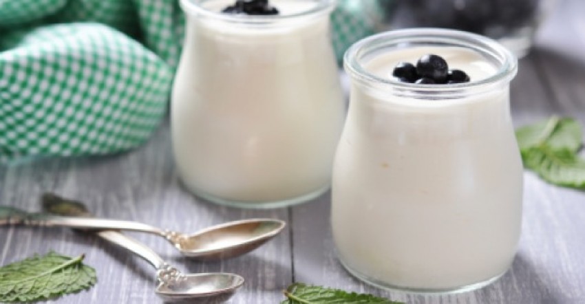 sua-chua-giau-probiotic