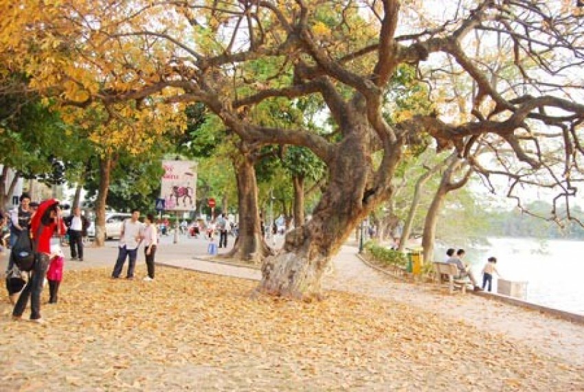 Mùa thu không khí mát mẻ, bạn nên ra ngoài vận động như  du lịch, ngắm cảnh