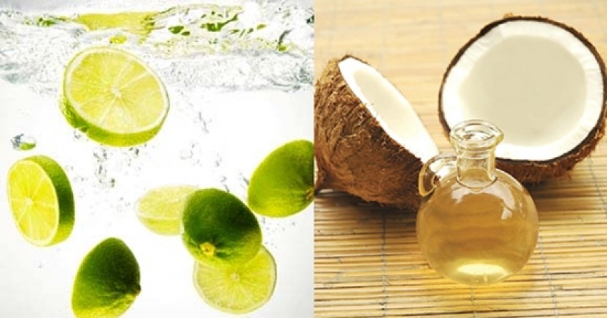 Top 10 mẹo trị bỏng- Dầu dừa