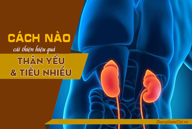 Gợi ý giải pháp cho quý ông yếu thận, thiếu tinh binh, tiểu đêm