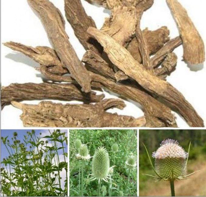 3 dấu hiệu cảnh báo bệnh tay chân miệng ở giai đoạn nặng