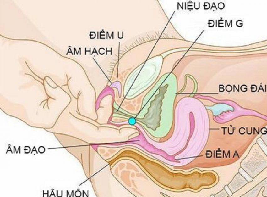 Hãy tìm điểm “G” cho riêng mình