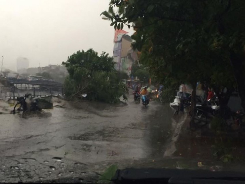 mưa dông, gió giật, Hà Nội