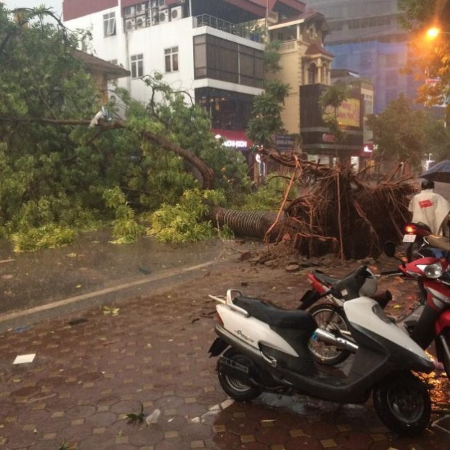 mưa dông, gió giật, Hà Nội