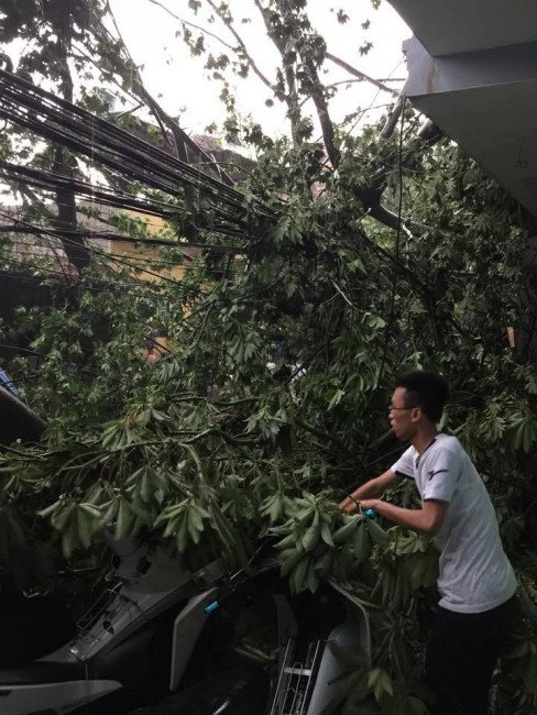 mưa dông, gió giật, Hà Nội