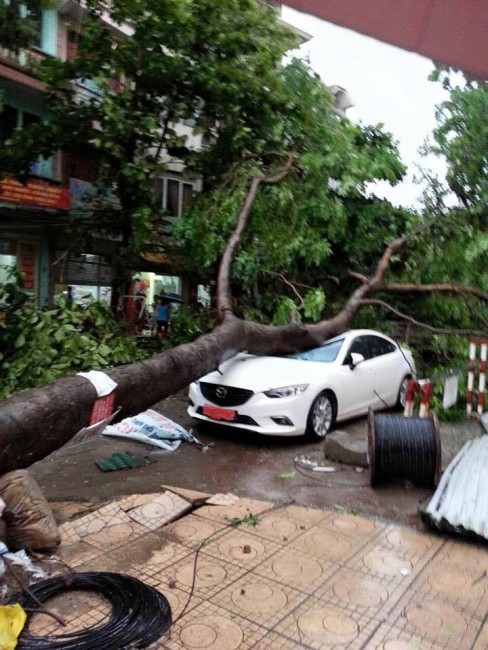 mưa dông, gió giật, Hà Nội