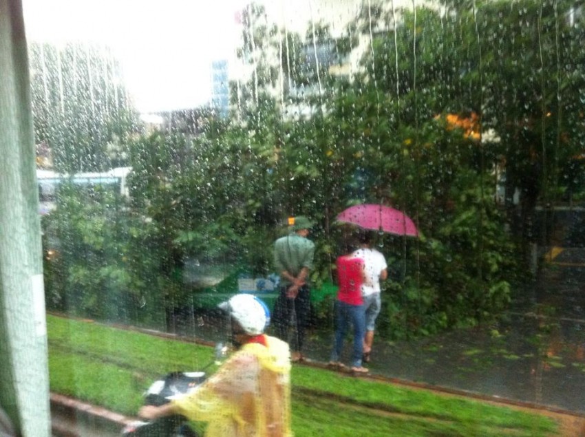 mưa dông, gió giật, Hà Nội
