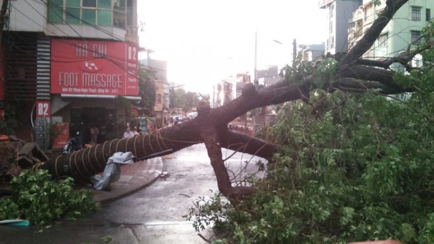 mưa dông, gió giật, Hà Nội