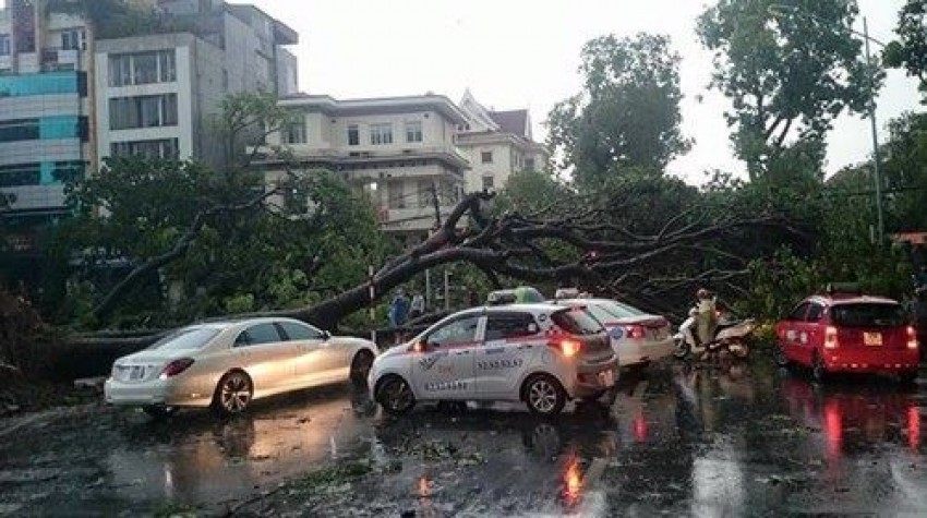 mưa dông, gió giật, Hà Nội