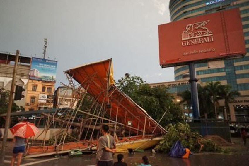 giông lốc, cây xanh, Kỳ Duyên, đại biểu quốc hội