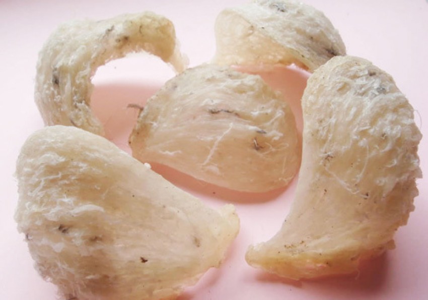 yến sào, tổ yến, Khánh Hòa, yến giả, lừa đảo, yến-sào, tổ-yến, Khánh-Hòa, yến-giả, lừa-đảo,