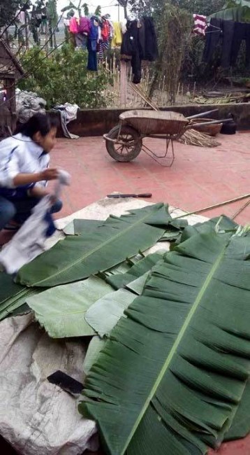 đụng lợn, không khí tết, Tết Bính Thân, gói bánh chưng